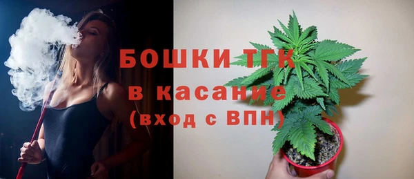 трава Мегион