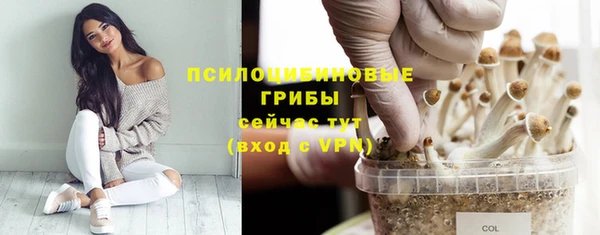 трава Мегион