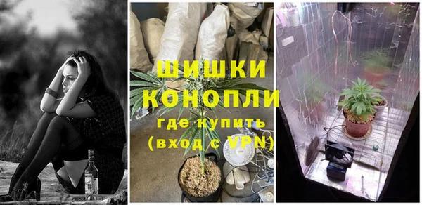mdpv Медвежьегорск