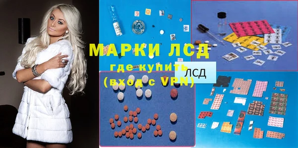 стаф Магас