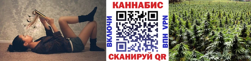 Каннабис OG Kush  Александровск-Сахалинский 